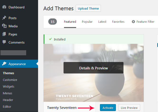 install WordPress theme Active